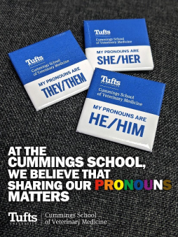 graphic with a black background and 3 square blue and white pronoun buttons with Cummings School of Veterinary Medicince at Tufts University logo